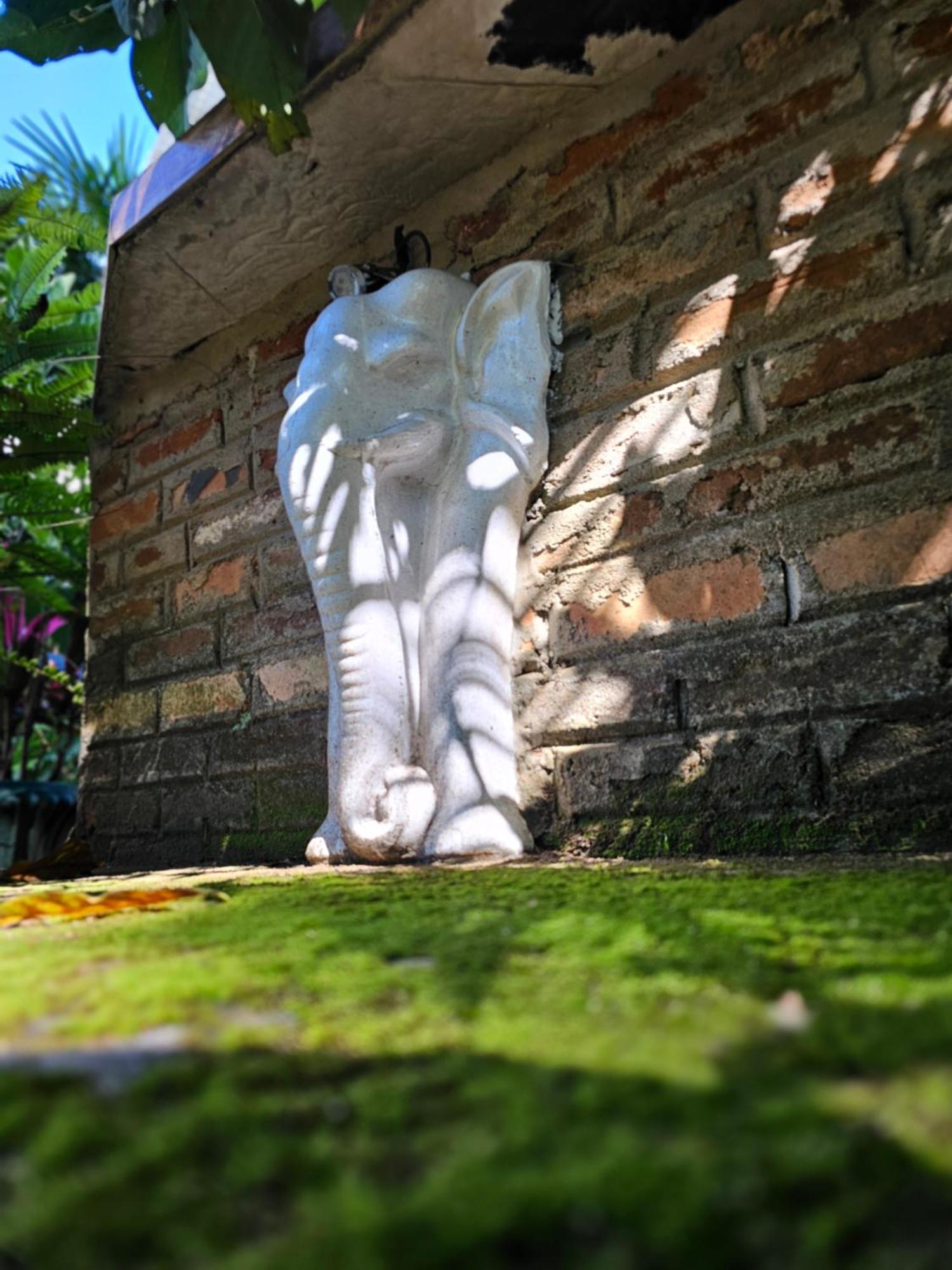 Galkanda Walawwa Kandy Buitenkant foto