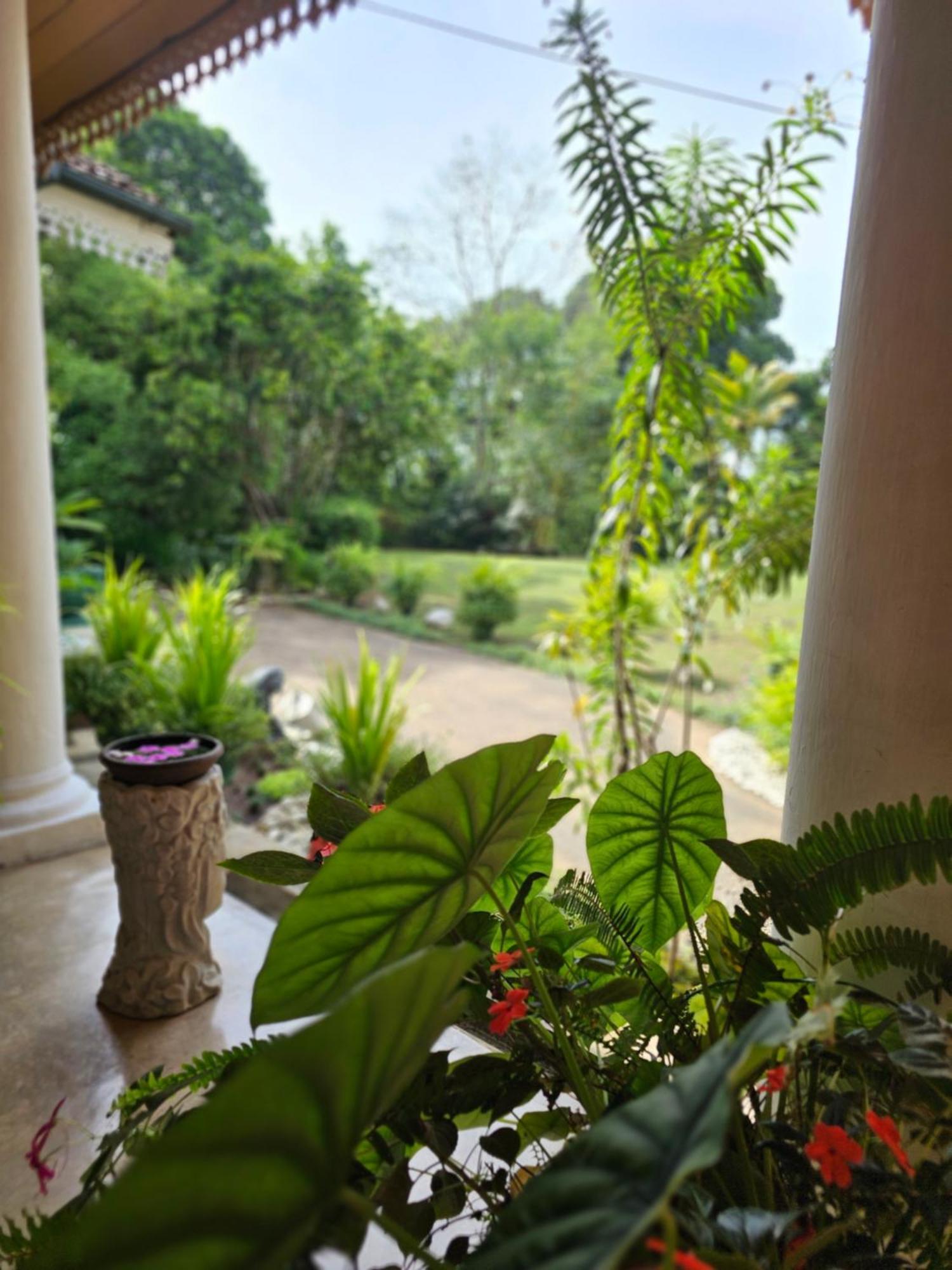 Galkanda Walawwa Kandy Buitenkant foto
